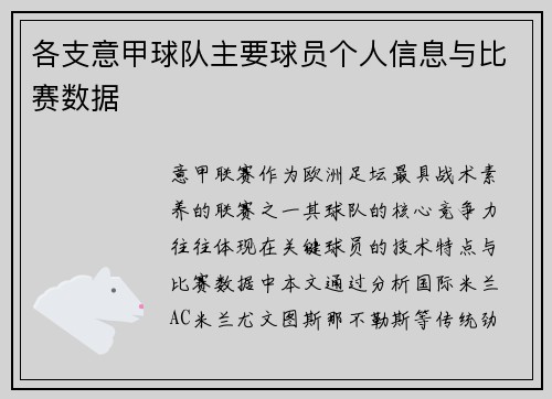 各支意甲球队主要球员个人信息与比赛数据