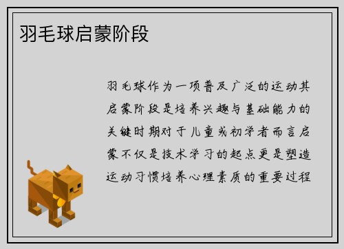 羽毛球启蒙阶段