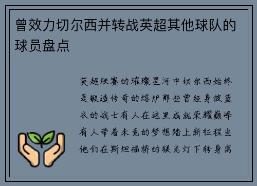 曾效力切尔西并转战英超其他球队的球员盘点